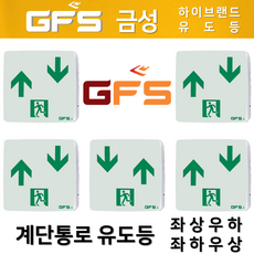 금성 GFS 계단통로 유도등 좌상우하 좌하우상 / KFI / 국가검정품 / 피난 / 계단 / 유도등 / 도매업체, 1. GFS 금성 계단통로 유도등 좌상우하, 1개