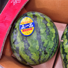 충남 산지직송 수박 특품 당도선별 (11brix 이상), 1개, 6kg 이상