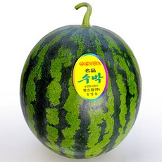 익산원예농협수박