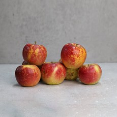 경북 청송 아리수 사과 정품 2kg 꼬마(12-16과 내외)