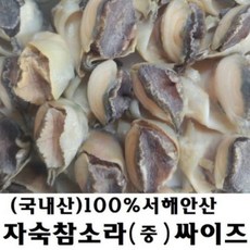 참소라업소용