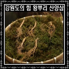 국내산 강원도 5년~6년근 토종 못난이 산양삼 실속형 산삼, 15g [8~13뿌리], 1개