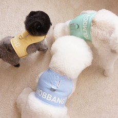 봉쥬르뚜뚜우비