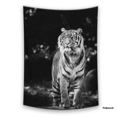 단호박라떼포스터