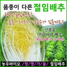 07ea5ed9b63a0991e365494f5a1948f5c2844aab7f4c8d6362be2d03592a.jpg
