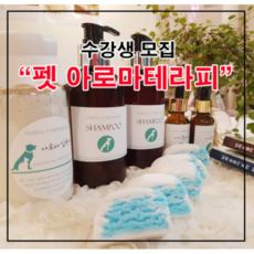 반려동물 펫 아로마테라피 자격증반 과정 2급 국제아로마테라피협회 푸르미르 공방 강아지 천연 비누 샴푸 이어클리너 아로마 스프레이 디퓨저 카밍파우더 연고 보습젤
