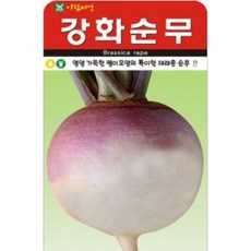 AR 강화순무 씨앗 2000립, 1개