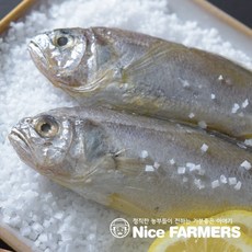 삼영건조기