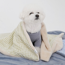 강아지 담요 낮잠 이불 양면 블랭킷 사계절 극세사, 1개