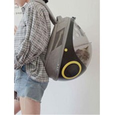 고양이초보집사되기