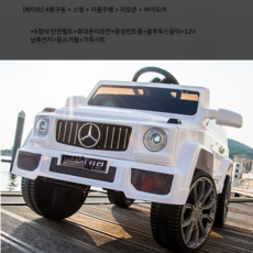 그린전기자동차기사책추천