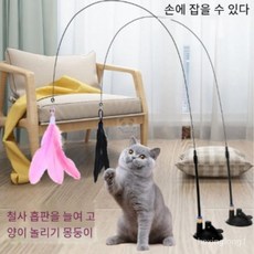 고양이 장난감 고양이 놀리기 막대 대 방울 긴 막대 빨판 오락 자신 내문 고양이 고양이 놀리기 신기 + 깃, 강력한 빨판 + 흰색 깃털 +3개 깃털 교체