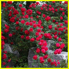 28f027a895eb645c645631fb3b4013dfbd9e872e87abc872597dc3ddbe7f.jpg