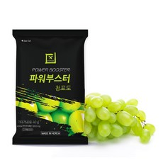 엑스에너지 파워부스터 청포도맛 아미노산, 40g, 40팩