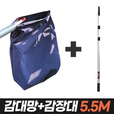 감나무장대