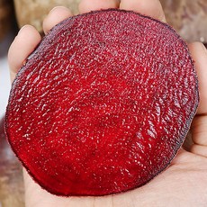 김해미나리뿌리