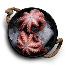[더신선] 통영 산지직송 자연산 돌문어 800g 1-3미 산소포장 당일조업, 1개, 800g내외 (1-3미)