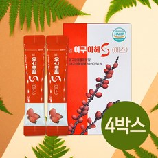 아구아헤