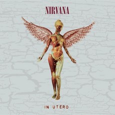 [CD] Nirvana (너바나) - 3집 In Utero [Deluxe Edition] : 발매 30주년 기념반