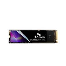 SK하이닉스 Platinum P41 NVMe SSD 500GB [빙하6 방열판]