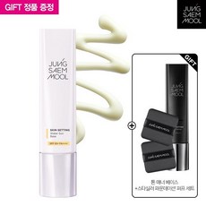 정샘물 스킨 세팅 워터 선 베이스+톤매너베이스+퍼프세트, 해당없음, 스킨 세팅 워터 선 베이스@18279830