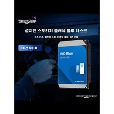 한정특가 웨스턴 디지털 BLUE WD 하드디스크 SATA600 8TB HDD 5640 WD80EAAZ, 3.5인치 설치 블루 디스크   씨엠어(CMR), 1TB - wd80eaaz,8tb