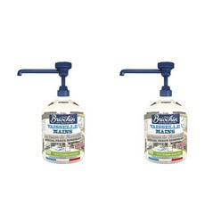 브리오신 주방세제 리퀴드 디시워싱 500ml x2개, 2개