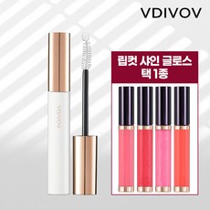 비디보브글로스