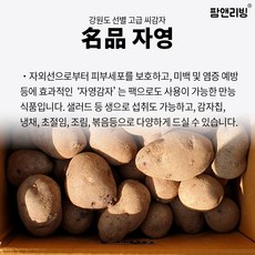 씨감자 수미 두백 홍감자 홍영 자영 2024년도 강원도씨감자, 자영(3키로), 1박스