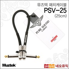 25p챔프케이블