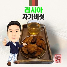 러시아산 차가버섯 100g (경북 영천) 수입산 수입, 1개