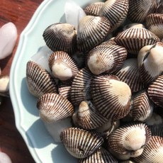 알꼬막1kg