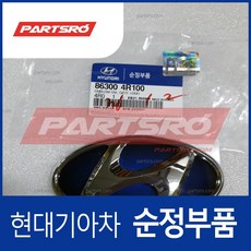 엠블럼-테일 게이트 로고 (863004R100)- 쏘나타YF, 1개