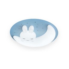 LED 달토끼 키즈방등 75W(삼색변환-리모컨형)/국산 삼성칩 플리커프리 아이방등 어린이집, 블루