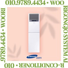 삼성 스탠드 에어컨 매장용 인버터 시스템 에어컨 30평 냉방기 (AP110CSPDBC1), AP110BSPDBC1S