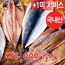 동해안반건조고등어