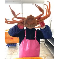 수율보장 러시아 마가단 박달대게 2kg_2미, 1개