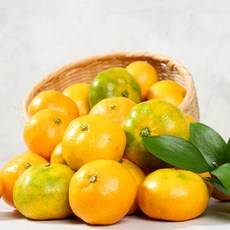 제주 비가림하우스감귤 2kg 3kg, 하우스감귤 2kg 소과, 1개