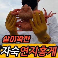 냉동홍게다리