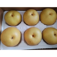 국산 당도선별 나주배 가정용 3KG 5KG 햇 배, 3kg (4-7과), 1박스