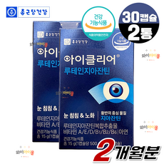 (와이아이몰) 루테인 지아잔틴 비타민A 눈침침 눈건강 영양제 차인표 아이클리어 식물성캡슐, 2박스, 31캡슐