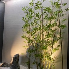 필로덴드론미칸