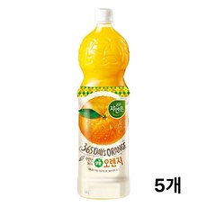 자연은 오렌지, 5개, 1.5L