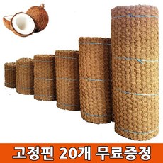 e0b1f8ecc2be317ff7169cb0fd498d3a6da6eb41f8a515727a0fd7aa49de.jpg