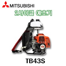 tb43