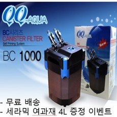 qq1000