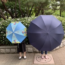 2단대형우산
