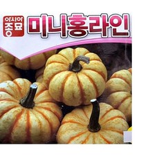홈가드닝 미니홍라인 오렌지줄무늬 호박씨앗, ONE COLOR, ONE SIZE
