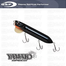 펜탁스에스피오120sw