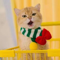 스펜서 반려동물 고양이 강아지 크리스마스 목도리, 그린, S, 1개